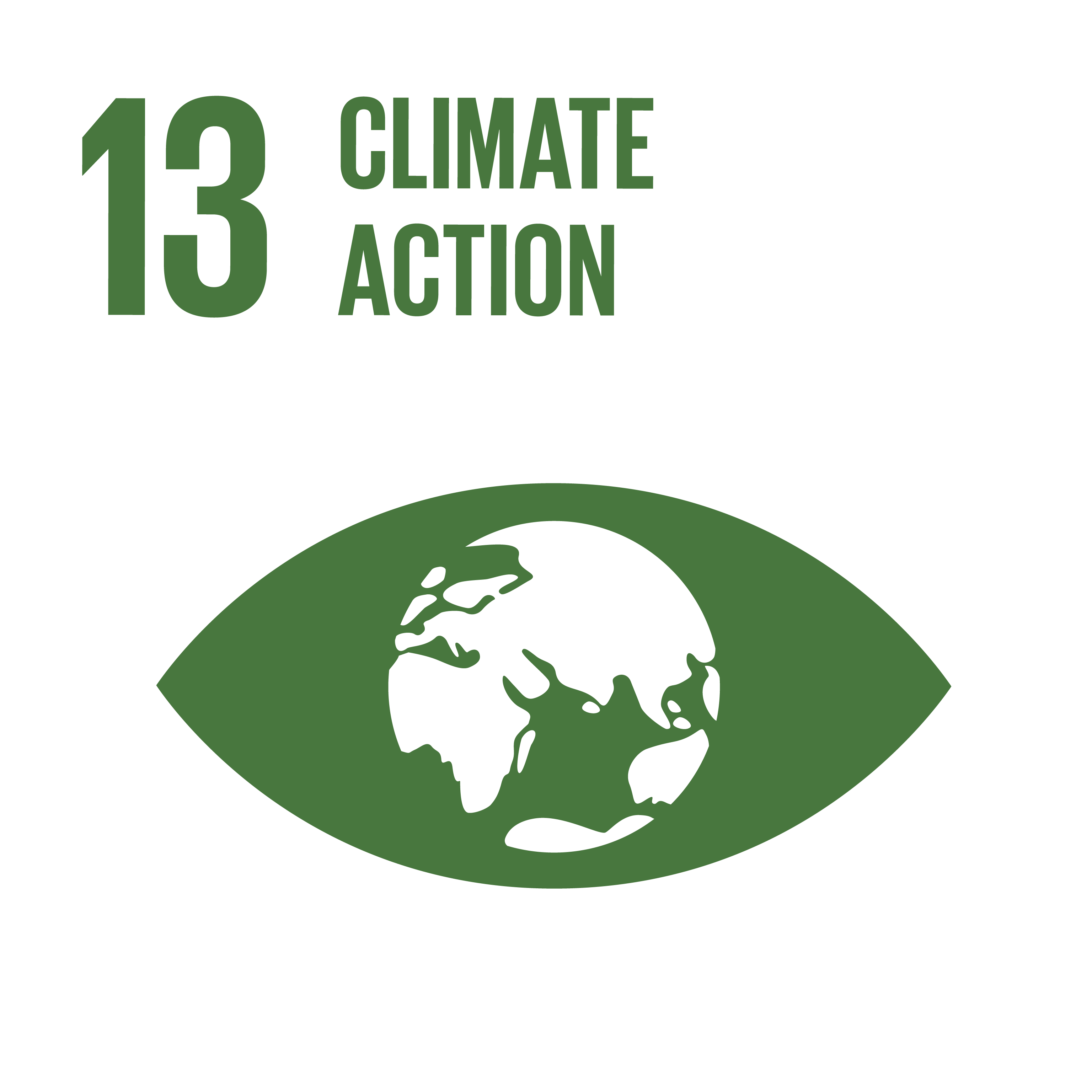 SDG13: Climate Action
