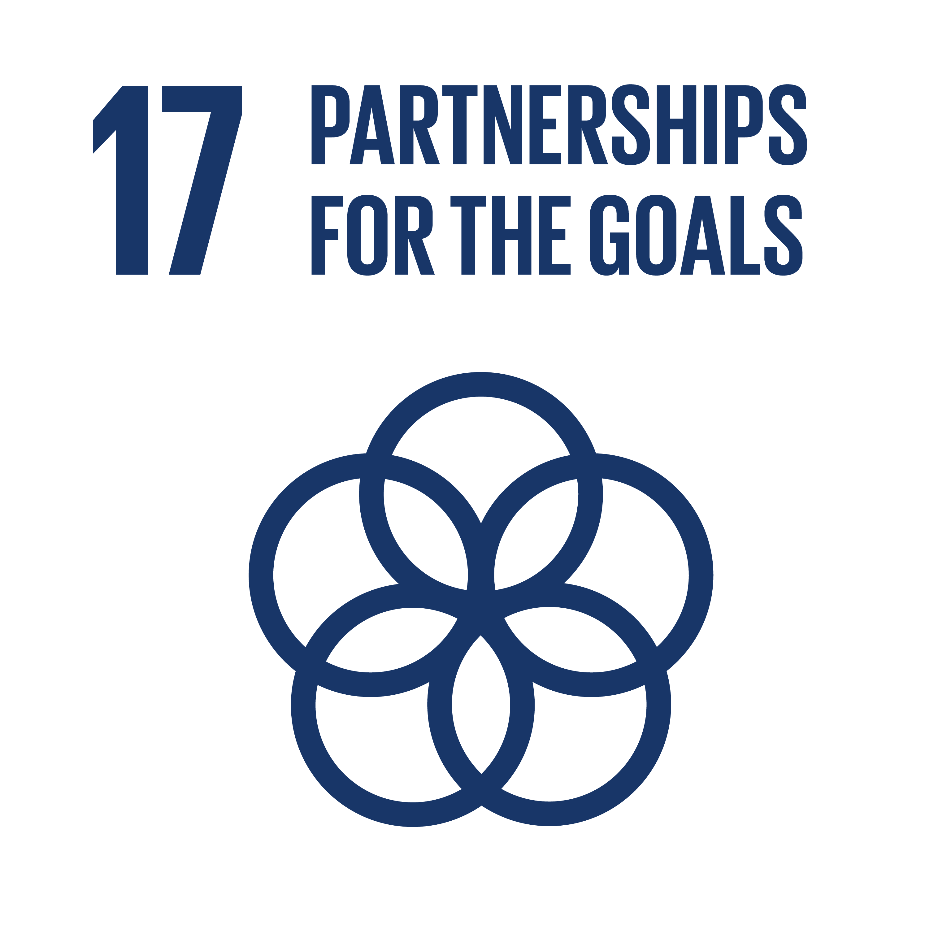 SDG17: Partnerships for the Goals