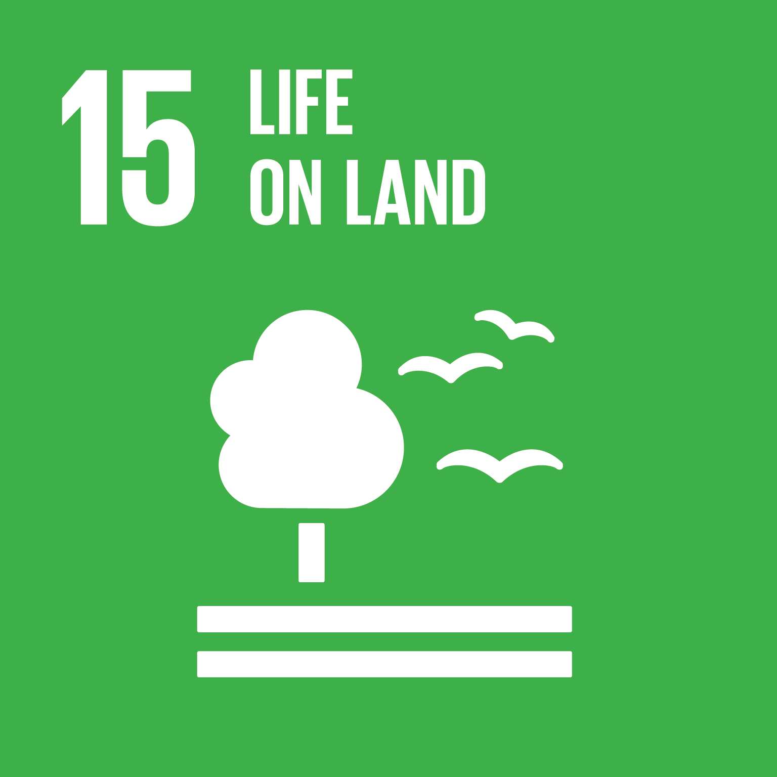 SDG15: Life On Land