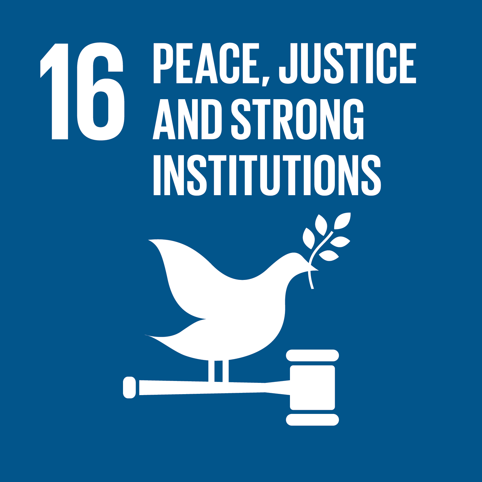 SDG16: Peace, Justice and Strong Institutions