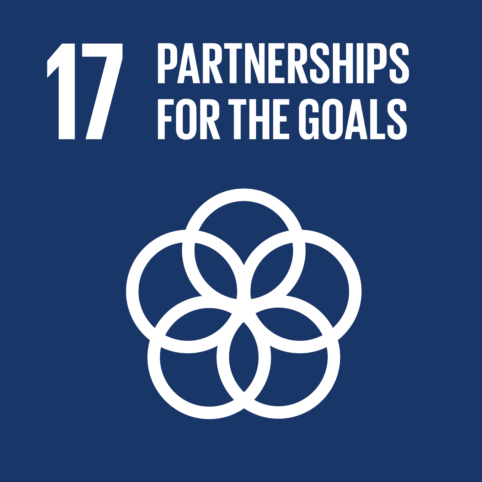 SDG17: Partnerships for the Goals
